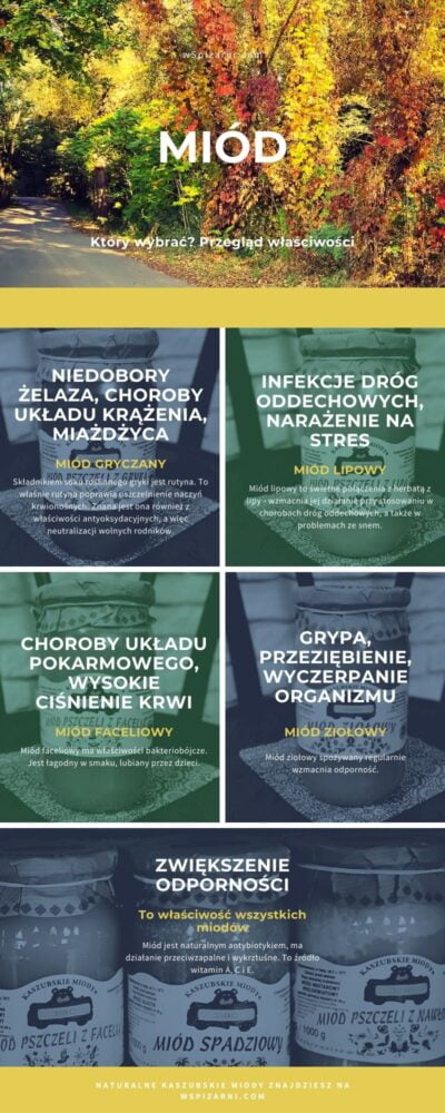 Infografika na temat właściwości miodów kaszubskich. Miody do kupienia w Toruniu w Spiżarni Wędlin Toruń