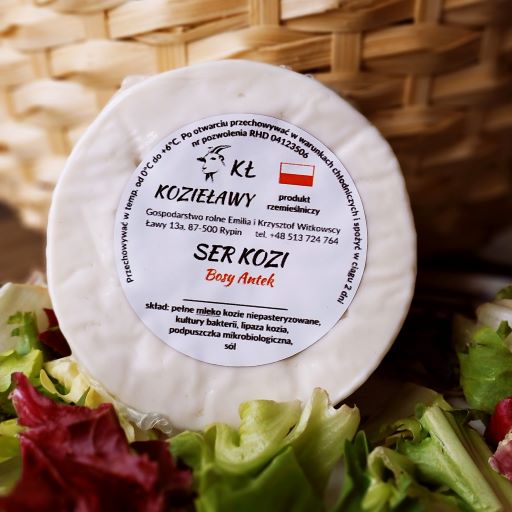 serek kozi bosy Antek Kozieławy do kupienia w Toruniu z dostawą do domu