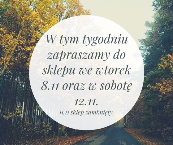11 listopada Spiżarnia Wędlin Toruń zamknięta